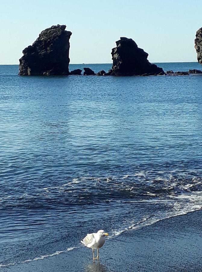 T2 Plage De La Conque 阿格德 外观 照片